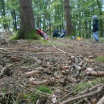 Wald_Wandertag (50)