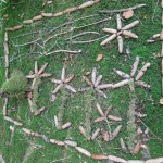 Wald_Wandertag (57)