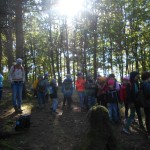 Wald_Wandertag (65)
